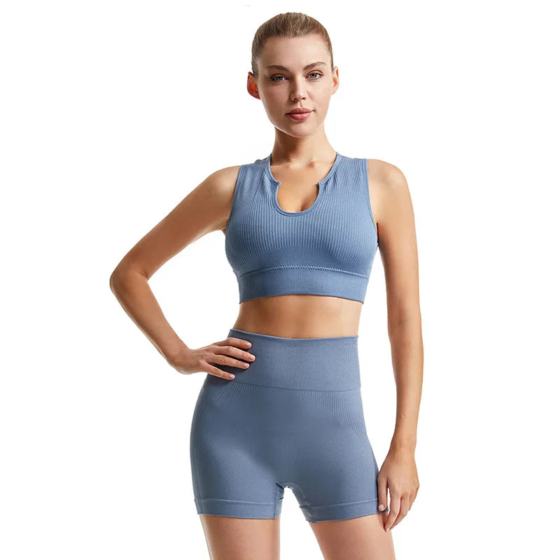 Seamless Leggings Sports Bra  Set